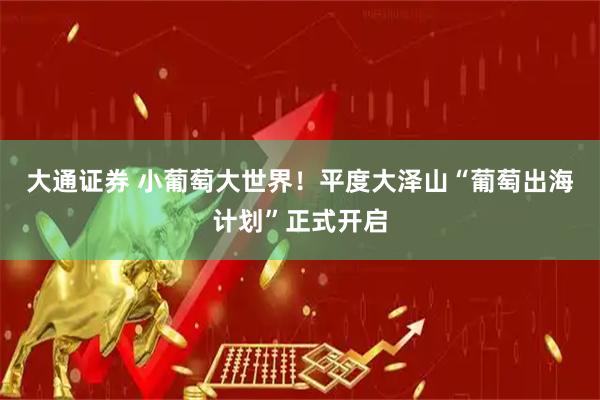 大通证券 小葡萄大世界！平度大泽山“葡萄出海计划”正式开启