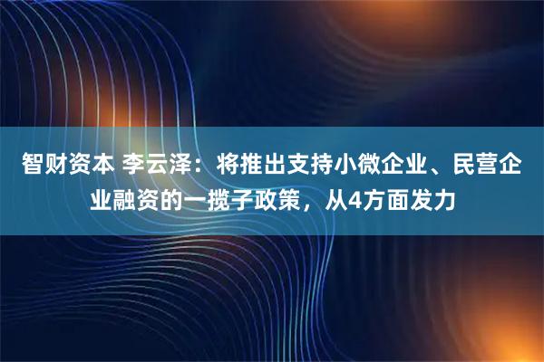 智财资本 李云泽：将推出支持小微企业、民营企业融资的一揽子政策，从4方面发力