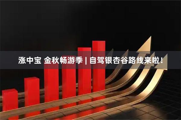 涨中宝 金秋畅游季 | 自驾银杏谷路线来啦！