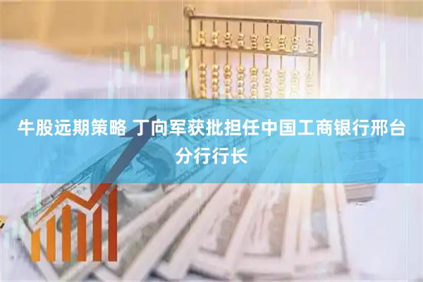 牛股远期策略 丁向军获批担任中国工商银行邢台分行行长